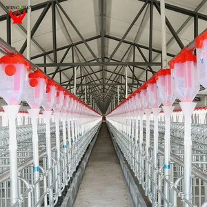 New Products Automatic Save Breeding Cost Economic Pig Feeding System Pig Equipment for Pig Farm
