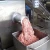 Import NEWEEK pizza fillings making beef fish fresh meat mincer for sale from China