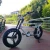 Import Newest 48V 500W Power 20inch Two People Fat Tire Electric Bike With Long Seat E Bike For Adults from China