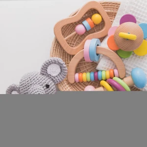 Newly Designed Educational Montessori Rattle Toy Wooden Baby Gift Box Crochet Animal Color Rattle