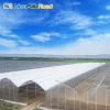 NSR Greenhouse Low Cost Economical Plastic Film Vegetable Green House