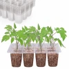 Nursery Pot Tray Seedling Propagation Tray Flower Grow Box Succulent Garden Vegetable Seed 12 Cells