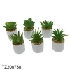 OEM /ODM Gift set of 6 mini succulent bonsai round shape Eco-friendly melamine flower pot for home decoration