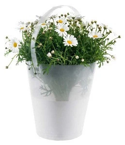 OEM Printing Transparent Flower bag potted plant carry bucket