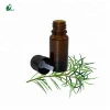 OEM/ODM Private Label Tea Tree Oil 100% Pure  For Shampoo