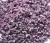 Import Organic freeze dried purple sweet potato chips from China
