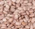 Import Organic Pinto Beans from Philippines
