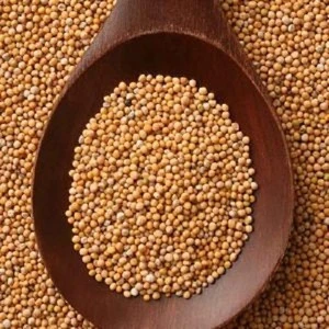 Original Linola Seeds/ Sunflower seeds