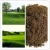 Import Peat Moss Sphagnum Substrate Garden Plant For Soil Conditioner Plant Organic Fertilizer from China
