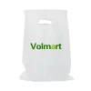 Personalized Plastic Handle Bag Retail Boutique Carry Bags Manufacture