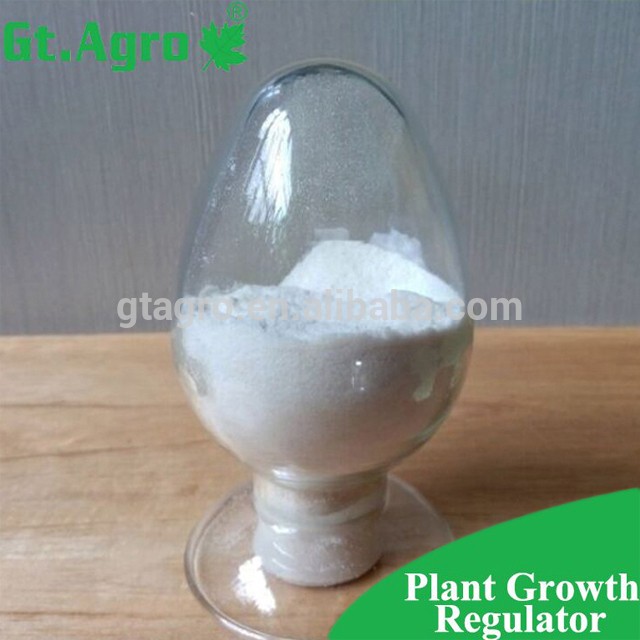 Pesticide Plant growth regulator Paclobutrazol 10% Paclobutrazol15%WP in agriculture