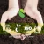 Import pet poop waste bag biodegradable compostable dog poop bag cat poop bag from China