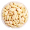 Pine nut pine nuts kernel China processing plant directly supplying