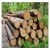 Import PINE SPRUCE BIRCH OAK ASH LOGS/TIMBER and eucalyptus timber wood logs/crude wood from Denmark