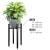 Import Plant Stand Home Decoration Adjustable Metal Modern Flower Potted Holder Rack Plant Stand for Indoor Or Outdoor from China