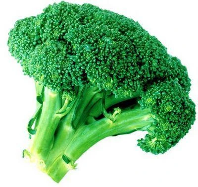 planting base bulk sale Fresh frozen broccoli