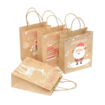 Plastic Alternative Ideal for jewelry and accessories Handle Carrier  paper bag Small kraft gift bags with decorative string