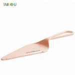 Plastic Pie cutter and server