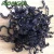 Import Plastic tomato clip for agriculture garden plant use from China