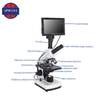 Portable Professional Lcd Digital Biological Screen Stereo Microscope