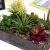 Import Potted Artificial Succulent Plants in Rustic Wooden &#39;Home&#39; Planter Box with Rope Handles from China