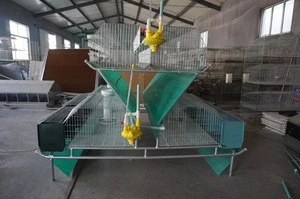 Poultry animal egg chicken layer cage