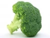 Premium quality Broccoli/PEPPER/ SCALLION