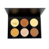 Private Label Face And Body HighLight Makeup Bronzer palette 6 Colors Natural Highlight Powder