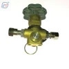 Professional manufacturer high quality various styles cng filling gas valve