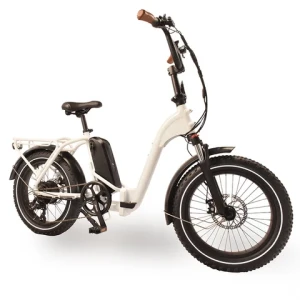 RaiderExpand-41FS basic model Ebike 20inch mini folding electric bicycle Step-Thru Electric city Bike for women