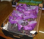 Red Globe Grapes (Seedless and seeded )