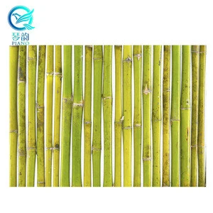 reed fence/Garden fences/reed panels for buildings