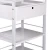 Import Salon Equipment Hairdressing Tools Collecting Two Shelf Spa Cart Salon Trolley from China