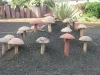 Sandstone Mushroom Stone