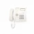 Import ShenzhenGood Quality Caller ID Corded Telephone with Speakerphone and 10 Groups One-Touch Memory Buttons for Office Use from China