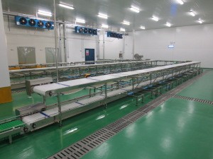 slaughterhouse machinery of meat processing machine