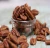 Import South Africa High quality pecan nuts for sale in shell pecan nuts price from South Africa