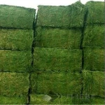 Soybean Meal Alfafa Hay Corn Gluten Meal Wheat Bran Rice Bran Fish Meal for sale