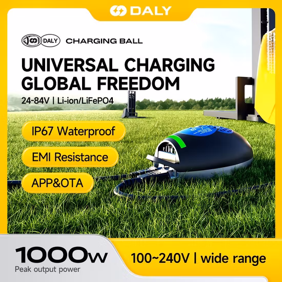 Factory Price Daly DC 29.4V 30A 1000W Charger Ball for 7s 24V 25.9V Li-ion/Lithium Battery Scooter Two-Wheeler