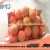 Import sponge foam ball Cleaning Equipment Parts from China