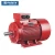 Import Standard Bare Shaft Water Pump from Purity Centrifugal Monoblock Pump Supplier from China