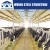 Import Steel structure chicken farm names broiler house design poultry house from China