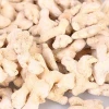 Strong ginger flavor spice ginger seeds roots quality organic dry ginger
