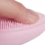 Import Super Soft Silicone Face Brush Cleanser and Massager Manual Facial from China