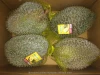Thailand King Fruit Frozen Durian Whole (Monthong)