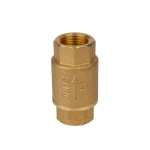 Thread Hydraulics Non Return Valves Type Low Price Brass Vertical Spring Brass Check Valve