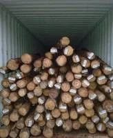 Timber Wood Logs for Sale From Thailand