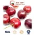 Import Top Quality IQF Frozen Fruit and Cherry from China