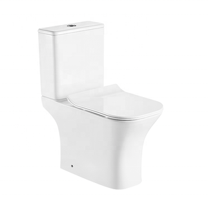 Two Piece Toilet Bathroom Sanitary Ware Floor Mounted China Toilets