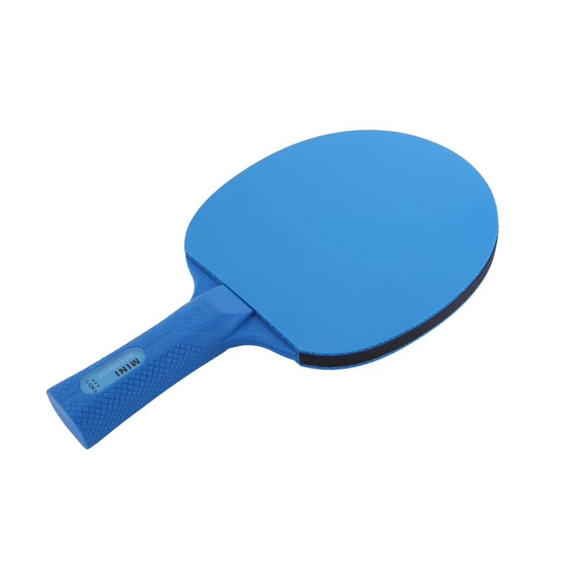 Two Rackets Three Balls 1 Net Blue Color Professional Bat Wood Table Tennis Racket Set